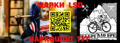 шишки Будённовск