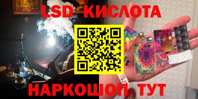 шишки Будённовск